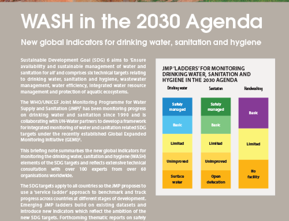 WASH in the 2030 Agenda